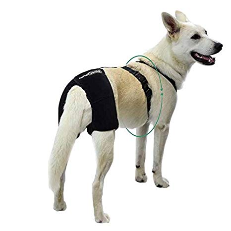 UEETEK Cane Supporto Imbracatura canini Aiuto Riabilitazione imbragature per Cani con Zampe Posteriori deboli M 